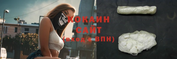 ПСИЛОЦИБИНОВЫЕ ГРИБЫ Осташков
